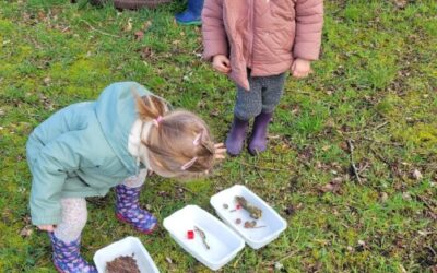 Classe dehors au printemps
